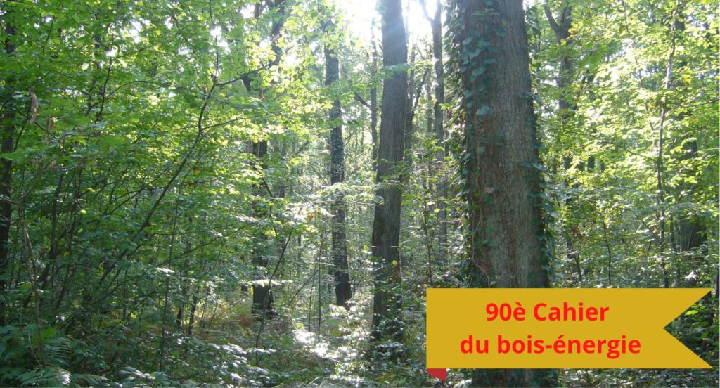 CBE 90 : Bois-énergie et atténuation du changement climatique
