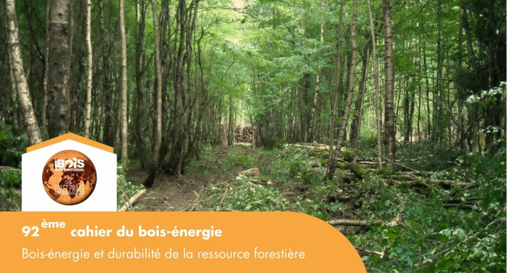 CBE 92 : Bois-énergie et durabilité de la ressource forestière