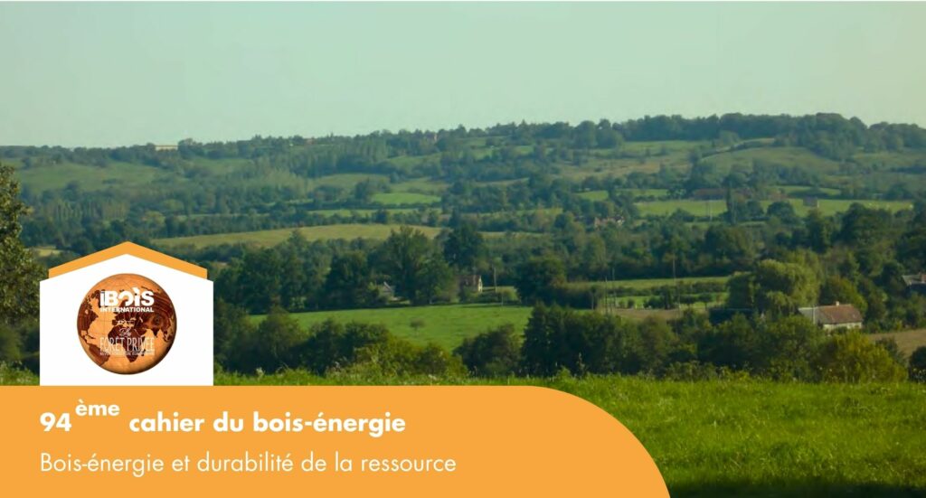 CBE 94 : Bois-énergie et durabilité de la ressource bocagère